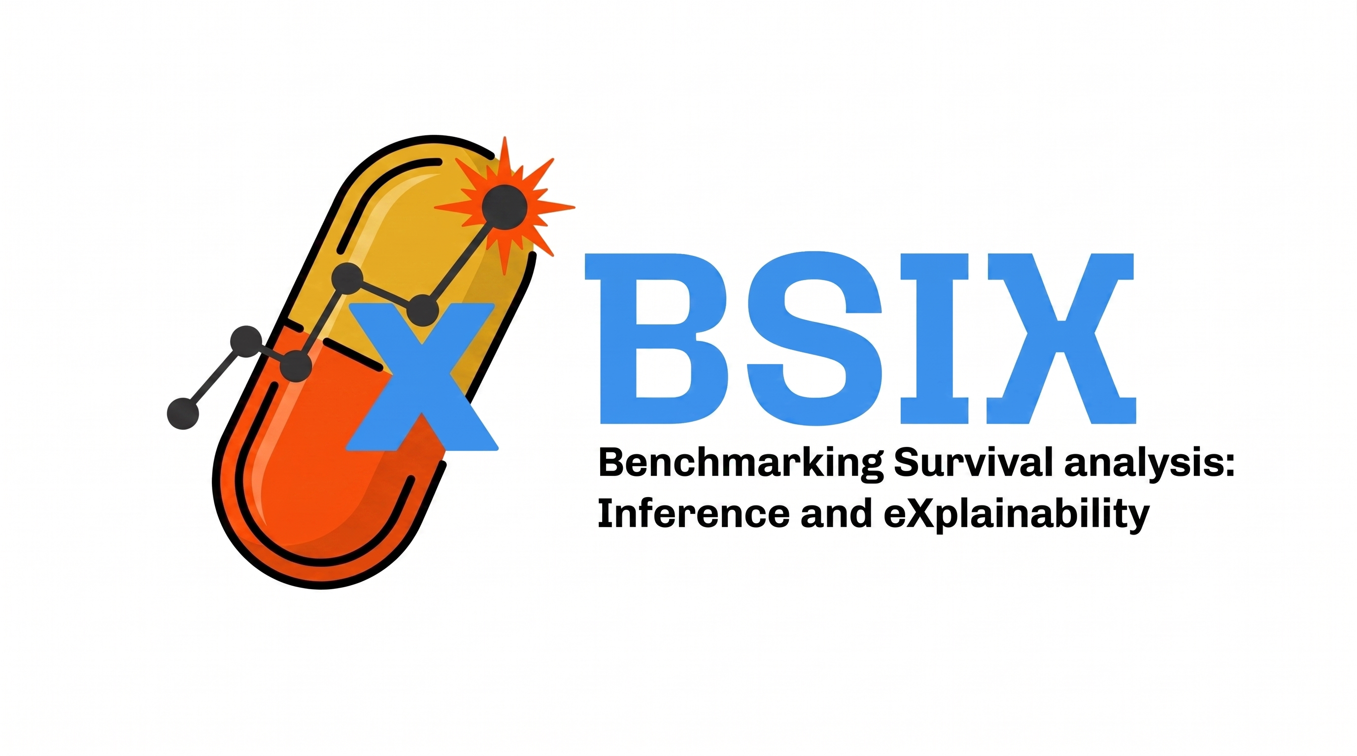 _images/BSIX_logo.png